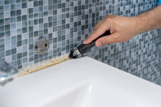 Best Mold Testing  in Gilcrest, CO