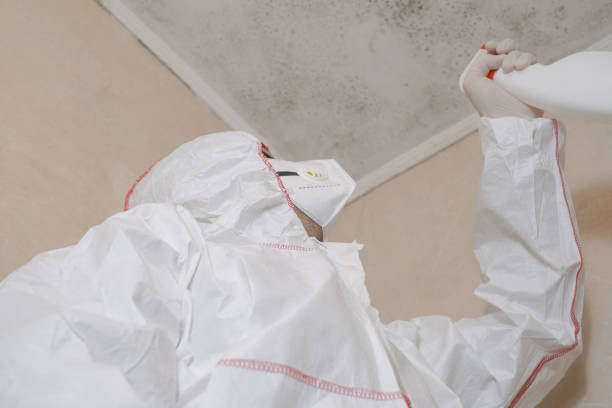 Best Emergency Mold Removal  in Gilcrest, CO